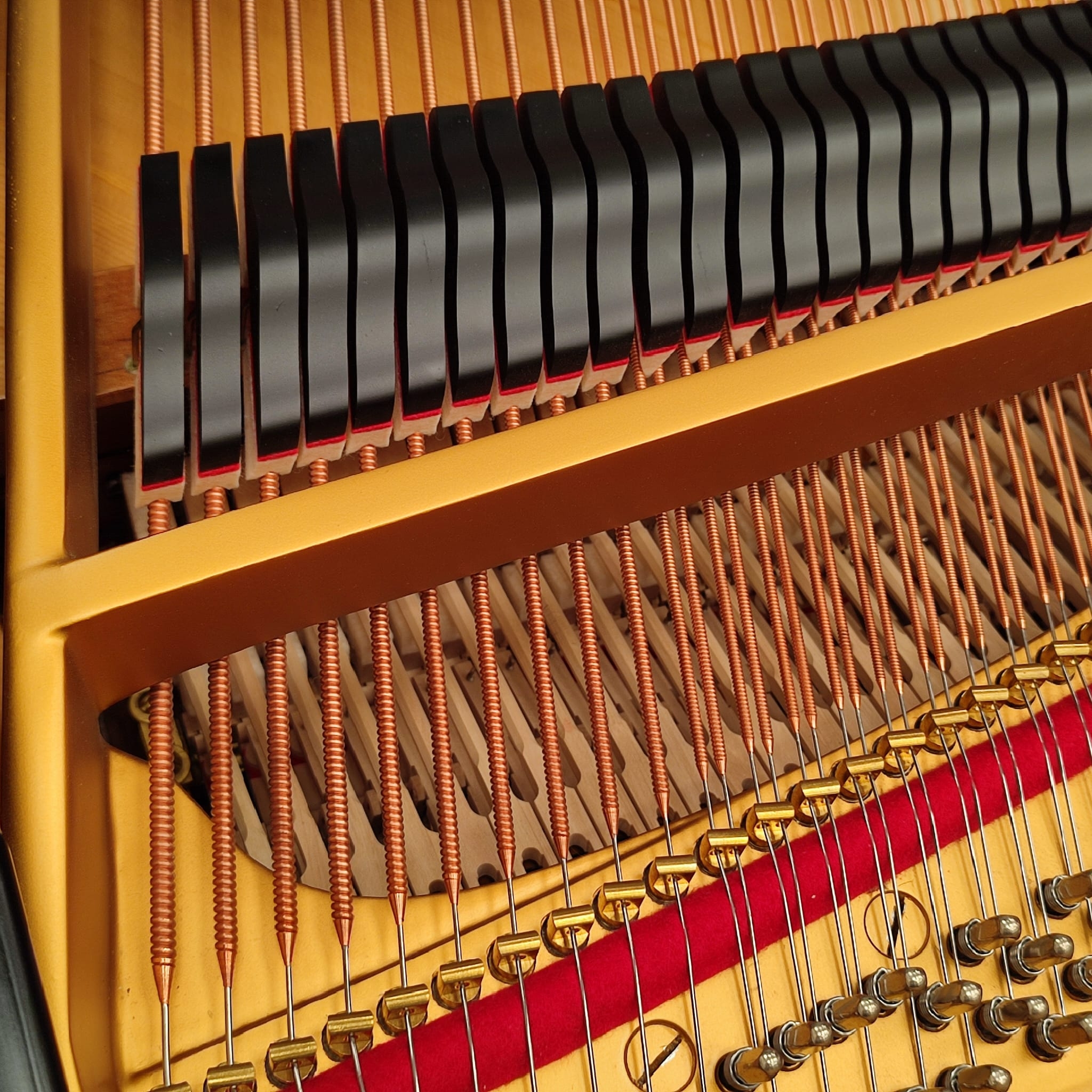 Steinway Model O Grand piano detail photo 9 - Roberts Pianos