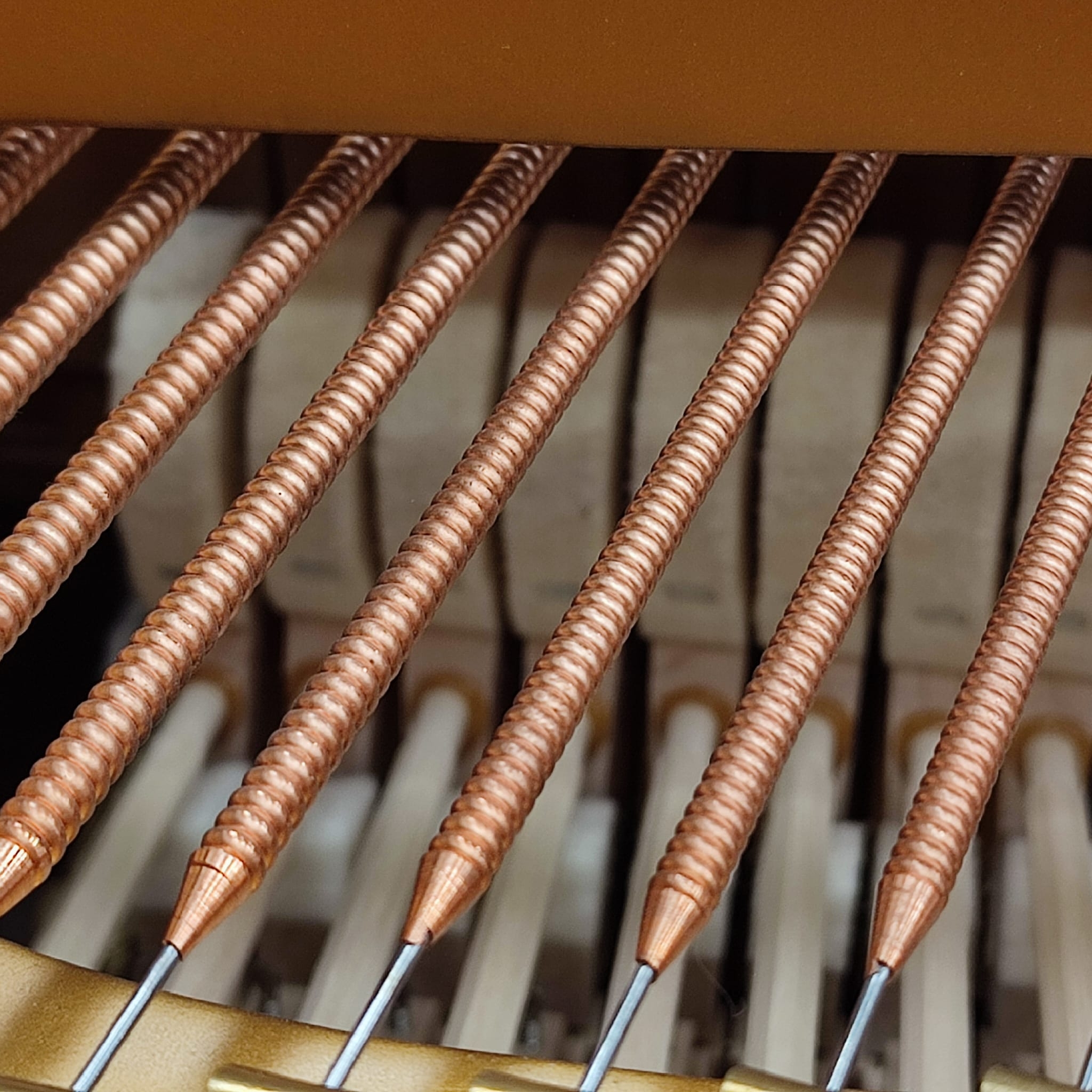 Steinway Model O Grand piano detail photo 8 - Roberts Pianos