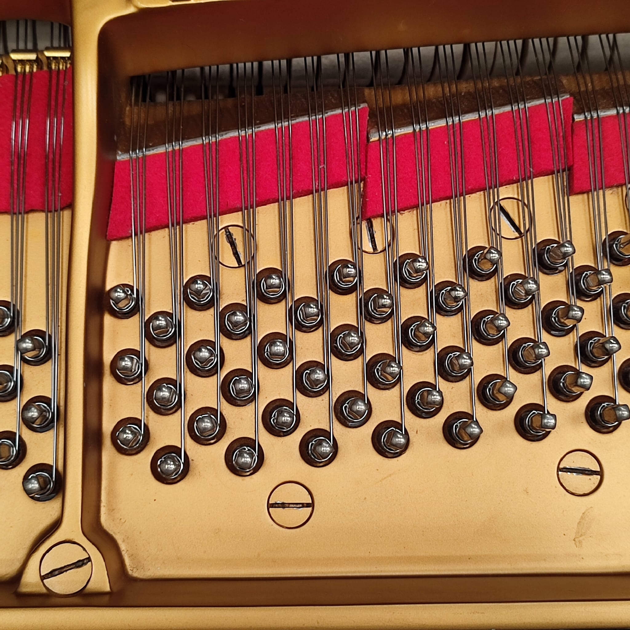 Steinway Model O Grand piano detail photo 7 - Roberts Pianos