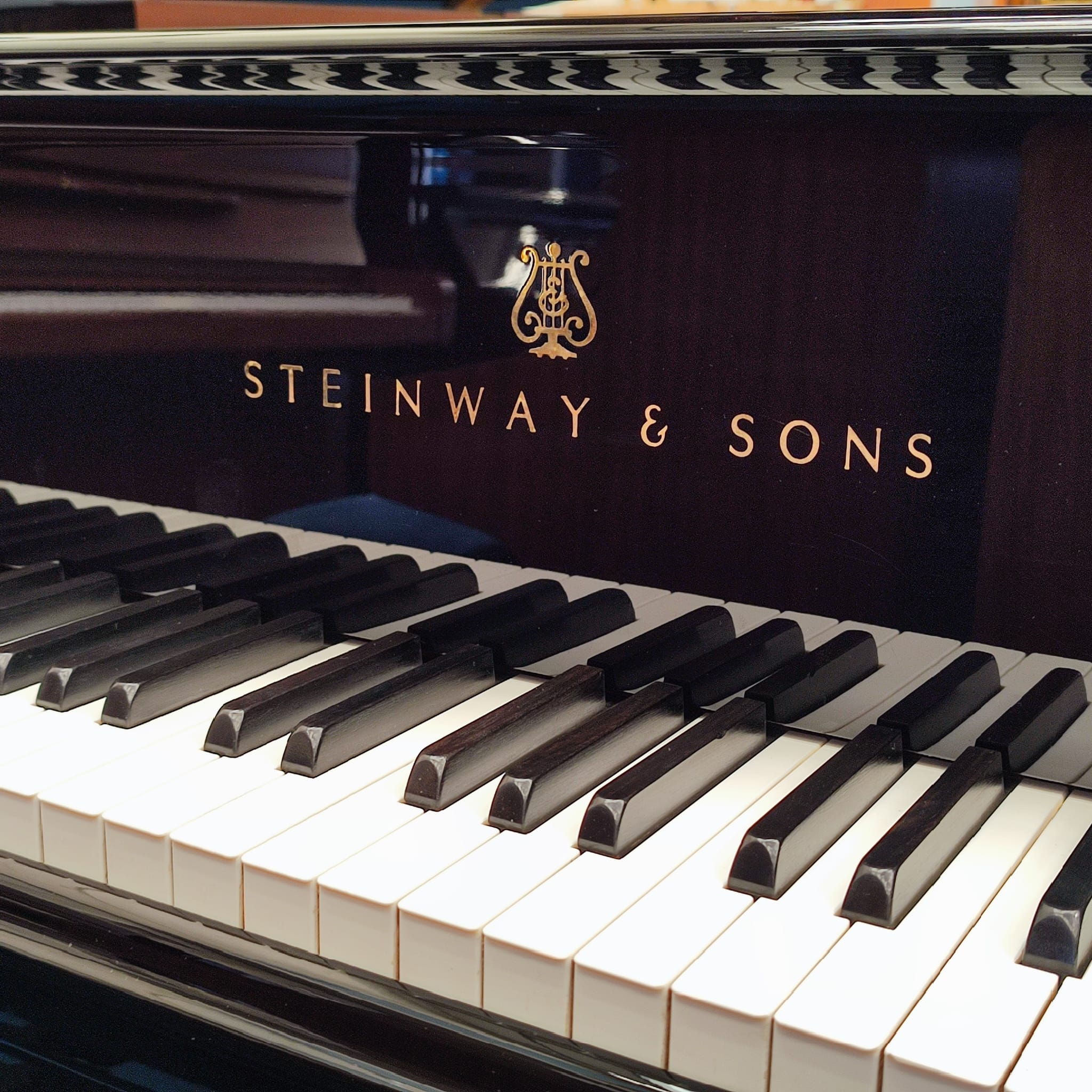 Steinway Model O Grand piano detail photo 3 - Roberts Pianos