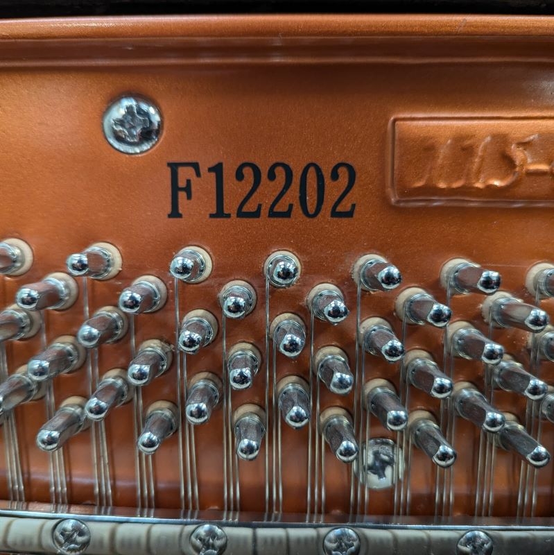 Feurich 115 Upright piano detail photo 6 - Roberts Pianos