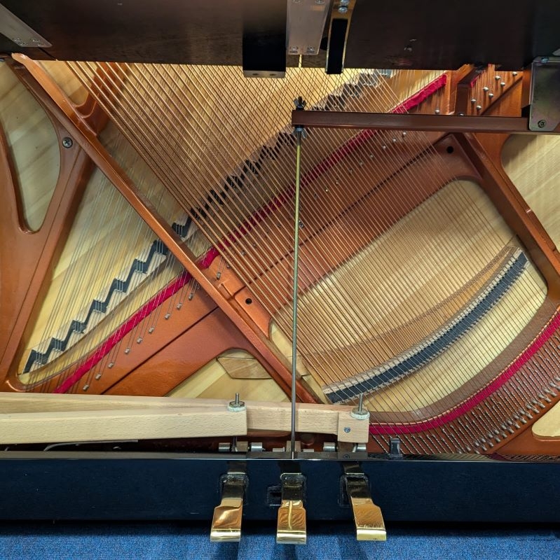 Feurich 115 Upright piano detail photo 9 - Roberts Pianos
