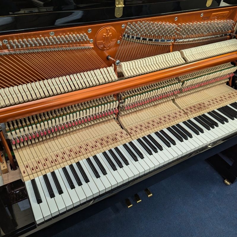 Feurich 115 Upright piano detail photo 8 - Roberts Pianos