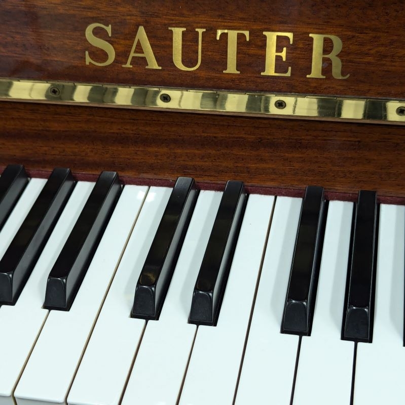 Sauter 110 Upright piano detail photo 4 - Roberts Pianos