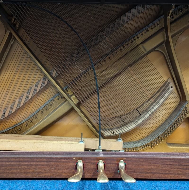 Sauter 110 Upright piano detail photo 2 - Roberts Pianos