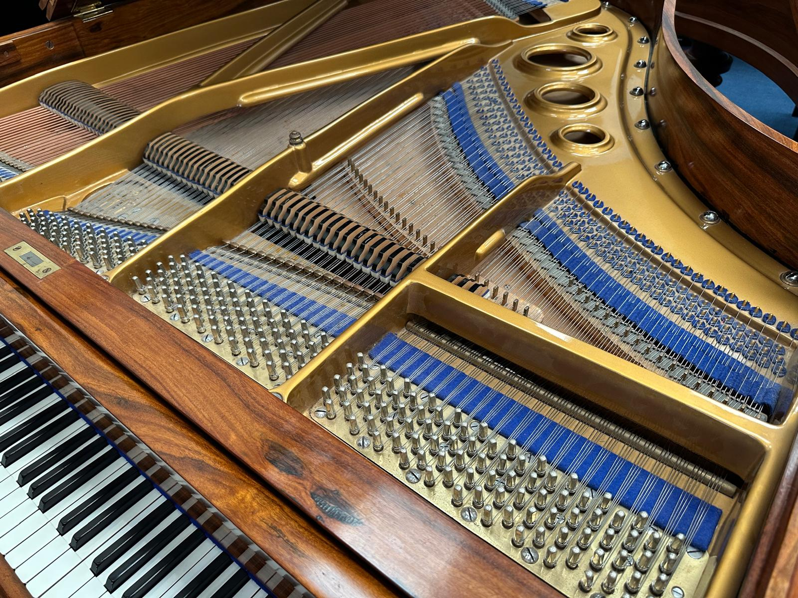 Bluthner VI Grand piano detail photo 11 - Roberts Pianos