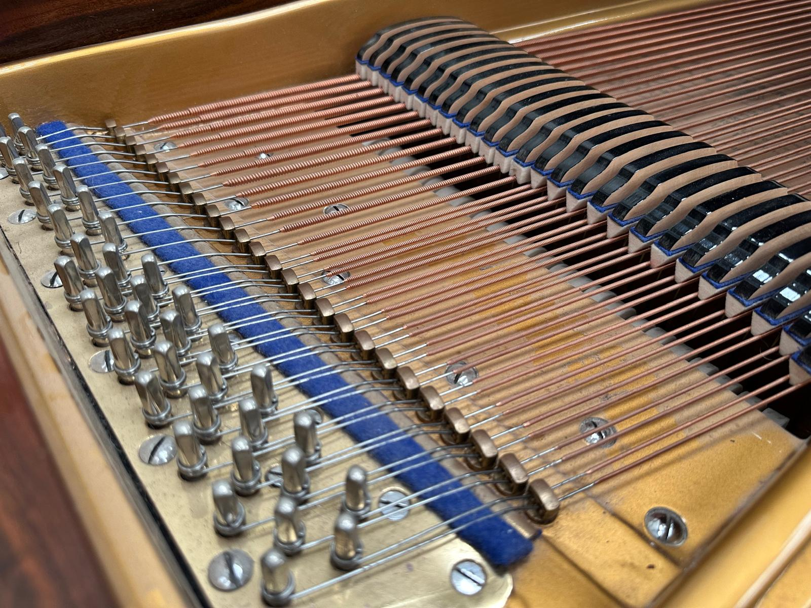 Bluthner VI Grand piano detail photo 12 - Roberts Pianos